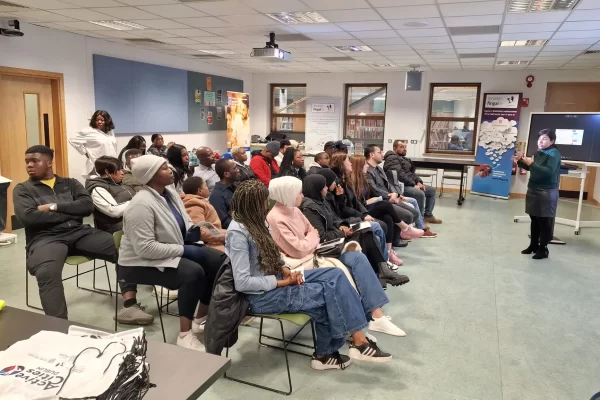 African Advocacy Network Ireland rights